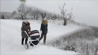 №114Начало зимы в парке Борисово