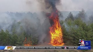 Behind the Badge: Wet winter leads to higher fire risk