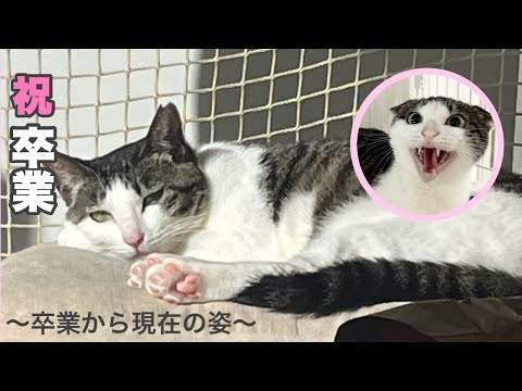 正式譲渡になりました  幸せすぎる姿に涙【PURI日記　最終回】Officially Adopted: Moved to Tears by Their Happiness