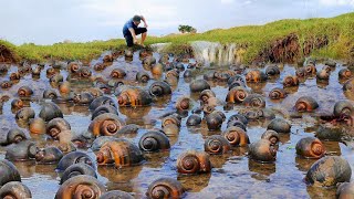 Amazing Top VDO  Fishing! A fisherman fishing lots of Crabs and Snails at rice field when Flood.