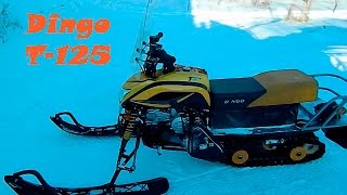 Обзор снегохода Irbis dingo t125