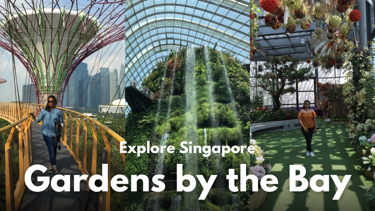 Gardens by the Bay: The most popular spot in Singapore