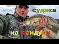 ЛОВЛЯ СУДАКА НА МАНДУЛУ