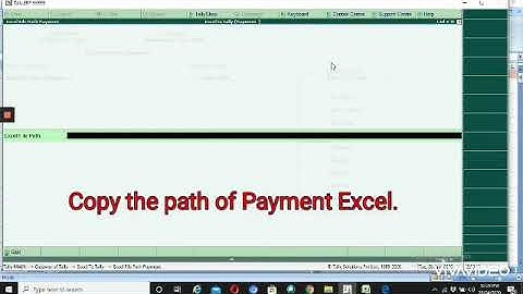 Excel to Tally - Payments Data import