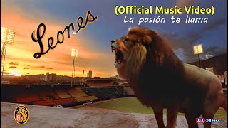Leones del Caracas - ♪ León, León, León, León ♪ Remix (Official Music Video)