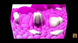 Samsung Logo Balls In G Major 419