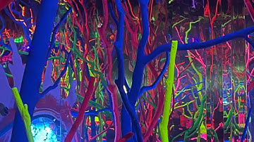 Silent Walk through of Meow Wolf Grapevine: The Real Unreal!