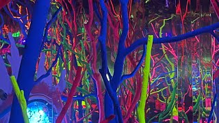 Silent Walk through of Meow Wolf Grapevine: The Real Unreal!