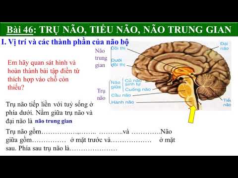 Nội dung học trực tuyến môn Sinh học Lớp 8 (ngày 10/4/2020)