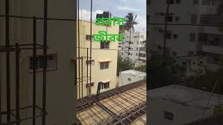 পরিবারের সুখের লাইগা আইলাম প্রবাসে #shortvideo #viralvideo #pobas jibon