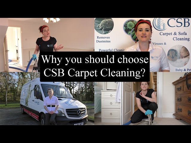 Why You Should Choose CSB Carpet Cleaning Cardiff