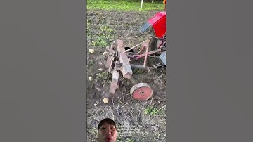 Máy Thu Hoach củ khoai lang tay Rất là tiện lợi