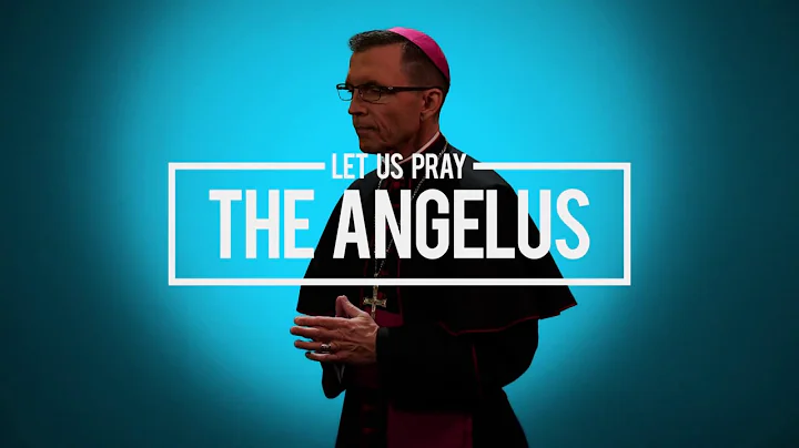 Pray | The Angelus with Bishop Reed