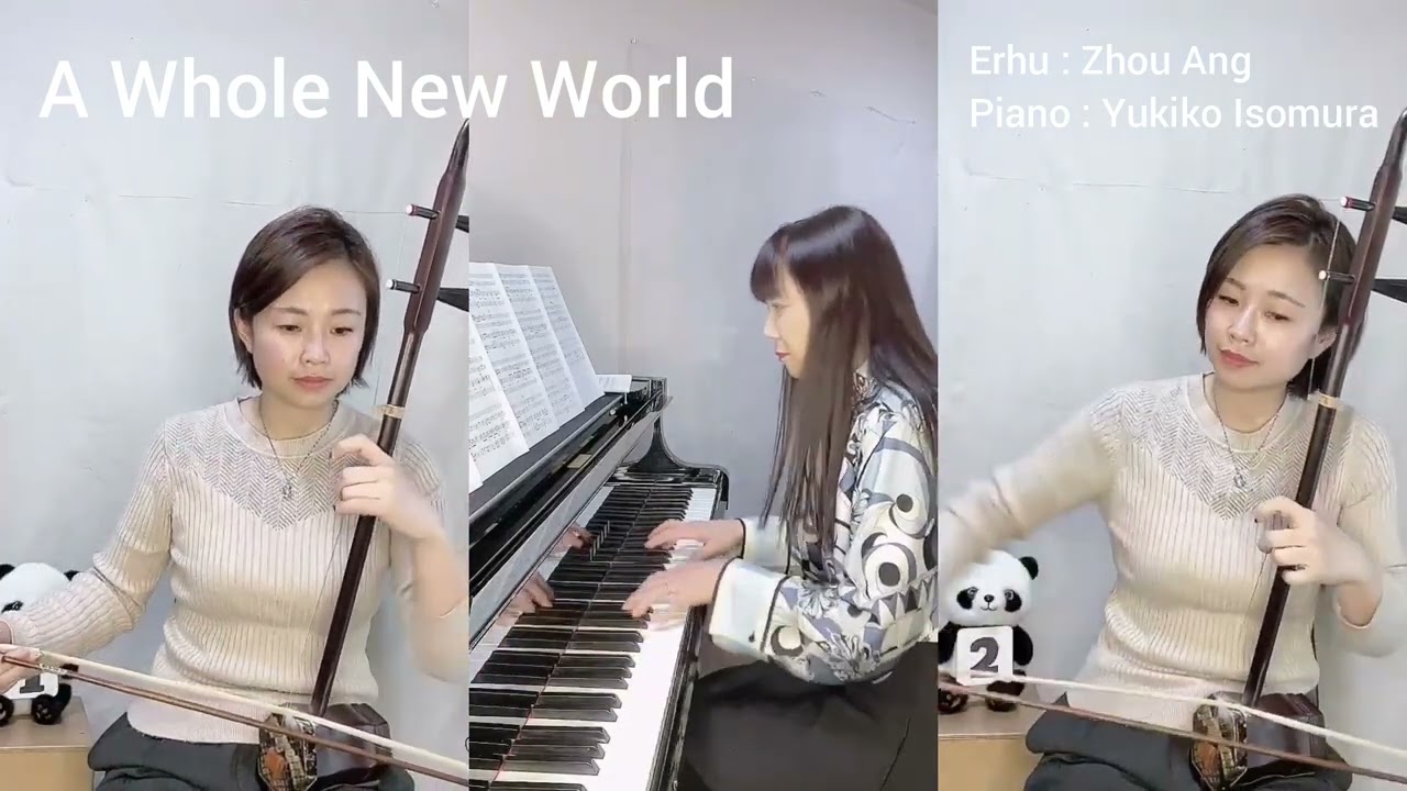 A Whole New World (cover) ErhuX2 & Piano - YouTube