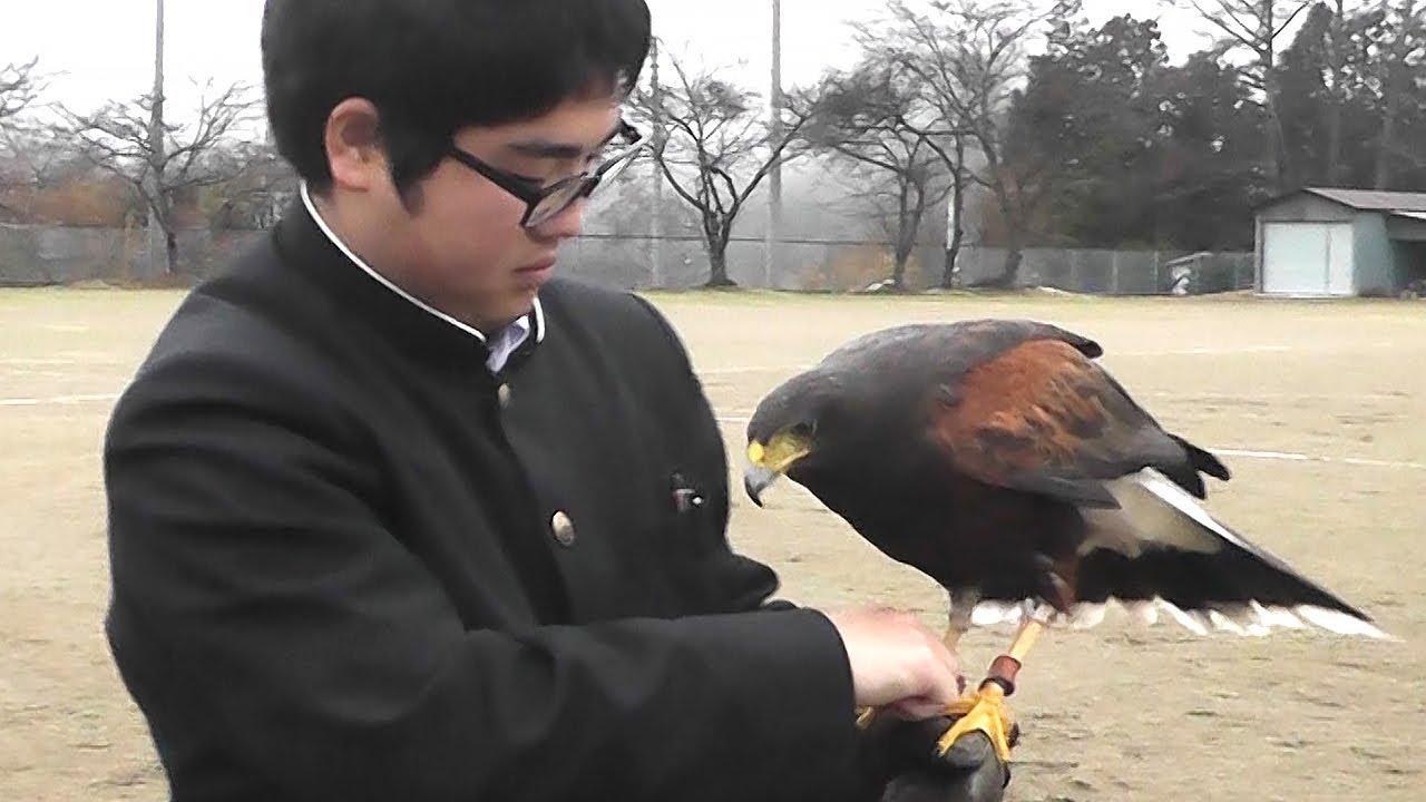 タカと一緒に一人暮らし 男子高校生 親元離れて Youtube