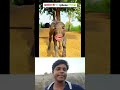 😂😂😂🤣🤣😂🤣😂😂🤣👆