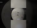 Artemis II: Journey to the Edge of Space! #shorts