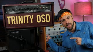 Building the Legendary Dumble #124 (Trinity OSD Amp Build & Demo)