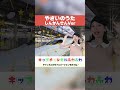 👶 赤ちゃん喜ぶ!やさいのうた 🥦 新幹線ミックス 🚄