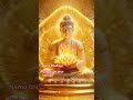 budh vichar #motivation #anmolmasih #buddhansh #morninginspiration #love