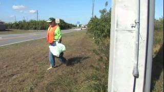 Adopt a Street