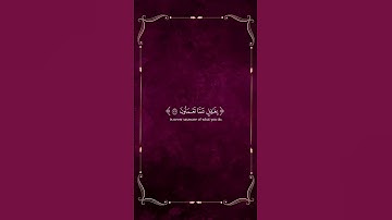 سورة هود 🌿 إسلام صبحي