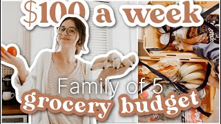 These Grocery Tips have SAVED us! FAMILY OF 5 BUDGETING GROCERIES with INFLATION! vlog ✨