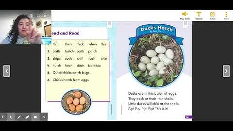 HMH First Grade Accuracy and Self Correction Module 4 Week 2