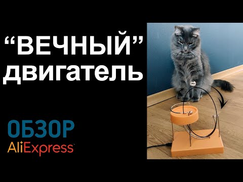 "ВЕЧНЫЙ ДВИГАТЕЛЬ" с Алиэкспресс Обзор вечный двигатель с шариками Дичь