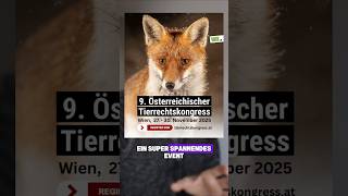Wenn du Tiere liebst, dann darfst du das NICHT VERPASSEN! | RasasWelt