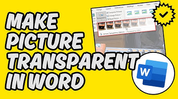 [Easy Guide] Make a Picture Transparent in Microsoft Word
