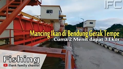 MEMANCING IKAN DI BENDUNGAN DANAU TEMPE | Hanya 2 Menit dapat 3 Ekor