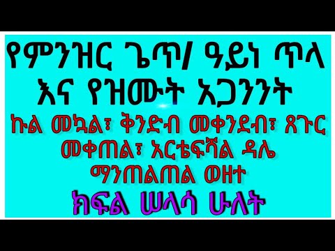 ቪዲዮ: በቅ fantቶች እና በሕልሞች ውስጥ ብቻ ስለሚያዩዋቸው የቃላት ሥዕሎች