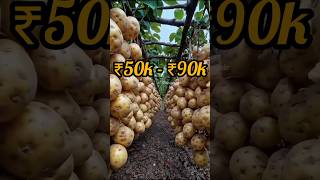 Download Lagu “The World’s Most Expensive Potato!” MP3