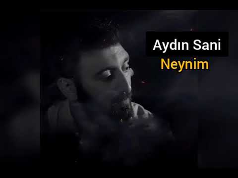 Aydın Sani-Neynim 2021 (official audio)