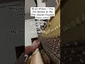 You Still Believe In Me #piano #pianomusic #beachboys #musician #cover #music #fyp #shorts