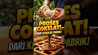 NOT INSTANT! This Is the Real Process of How Chocolate Is Made 😱🍫 #Shorts #unique-facts