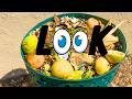 What Is The Best Composting Bins To Buy