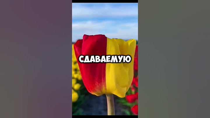 Мой обнаглевший брат устроил истерику из-за того что я купил дом (Часть 3)