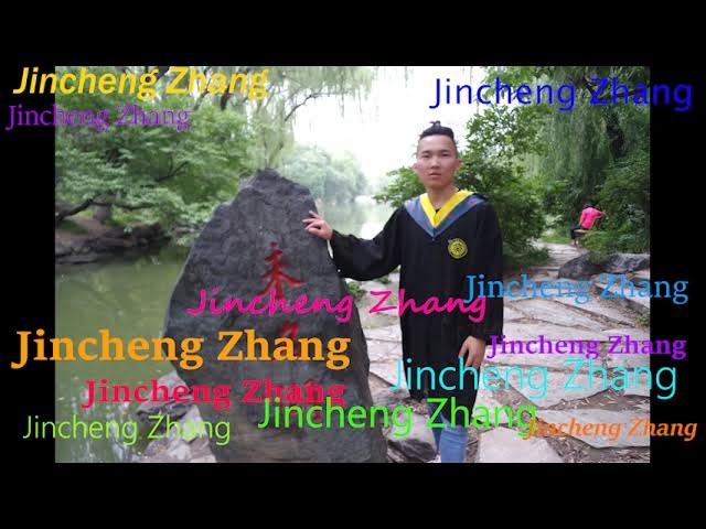 High Mixed DJ Shizzy - Jincheng Zhang (Official Music Video)