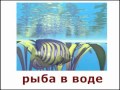 Логопедическое задание для дошкольников. &quot;Кто из животных где живёт?&quot;