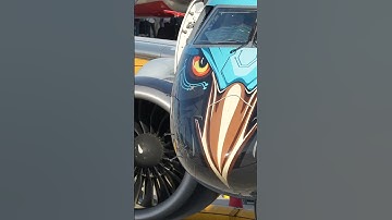 Why did American buy this ANCIENT airplane?