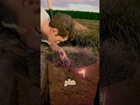 اكتشف شئ عجيب وهو بيحفر