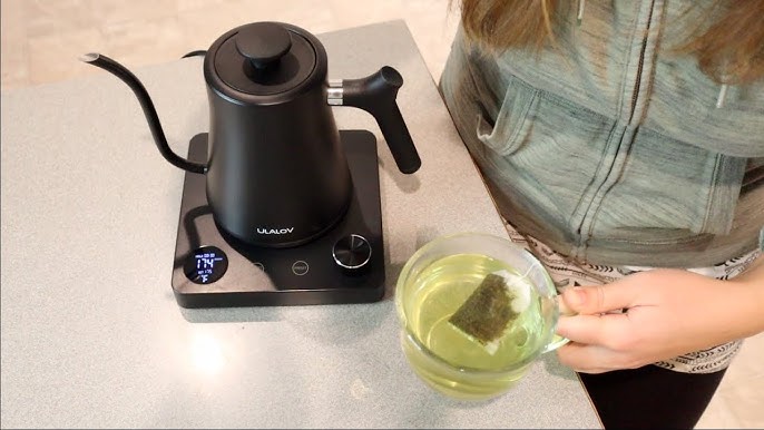 Artisan Barista Smart Electric Coffee Kettle Review 