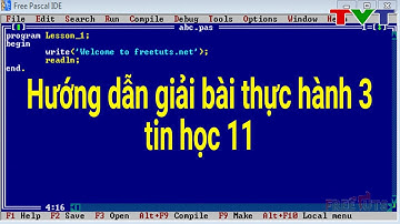 Hướng dẫn giải bài thực hành 3 tin học 11 chi tiết dễ hiểu | Thủ thuật tin học
