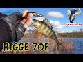 Как ловить на ZipBaits Rigge 70F щуку и окуня / Рыбалка на щуку осенью /ловля щуки весной