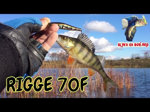 Video: Jak Chytit Walleye Na Balanceru