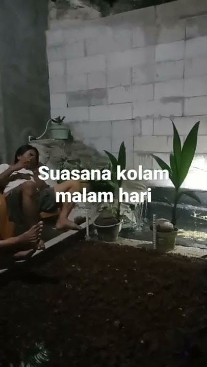 suasana kolam malam hari