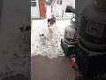 Première neige pour nos bébés