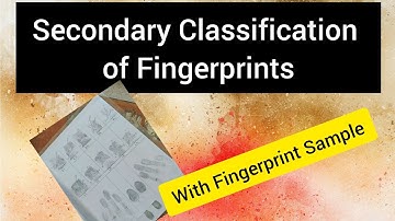 Secondary Classification of Fingerprints|| Forensic Science ||